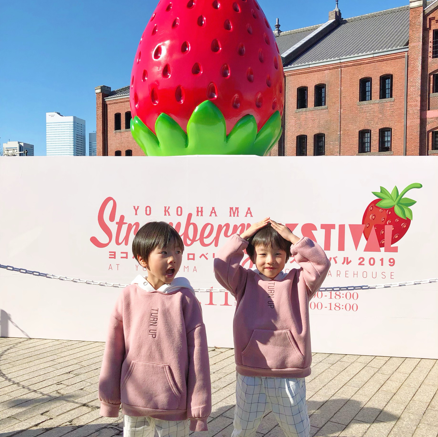 Yokohama strawberry festival