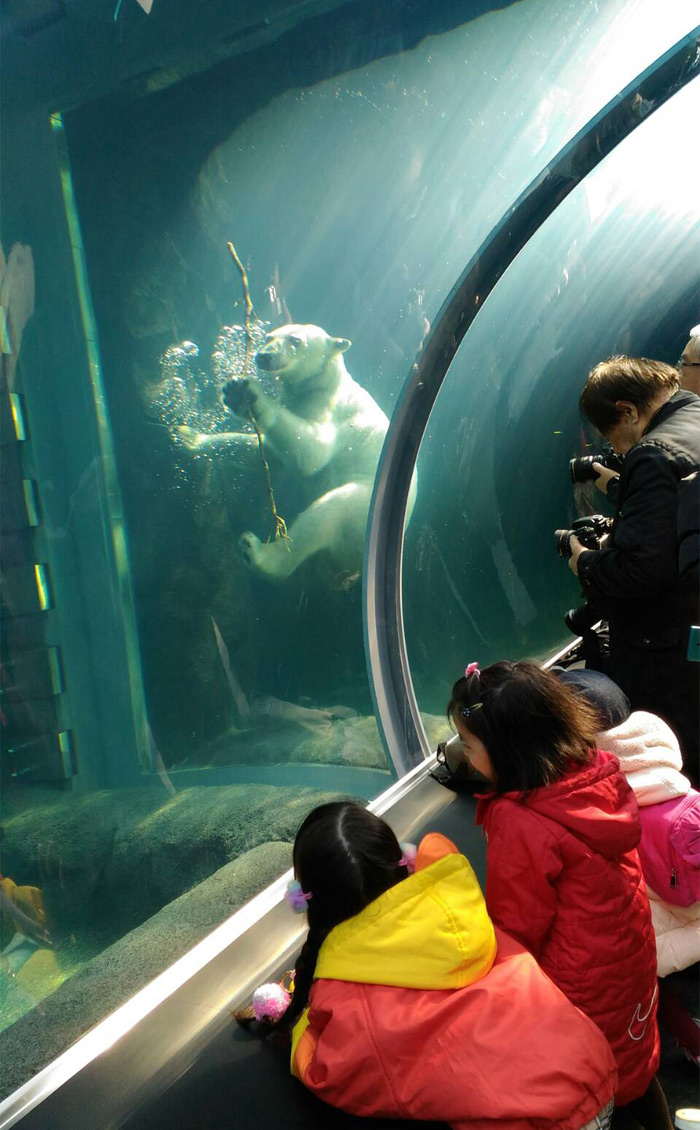 北海道の円山動物園