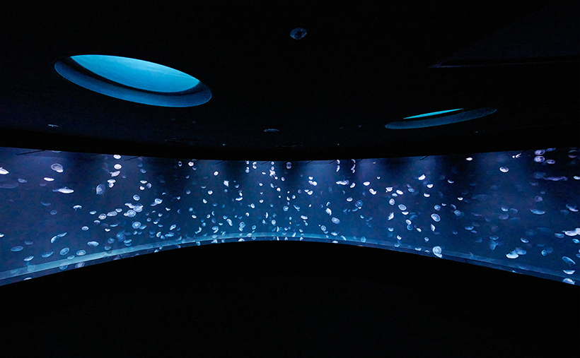 サンシャイン水族館 海月空感 クラゲパノラマ