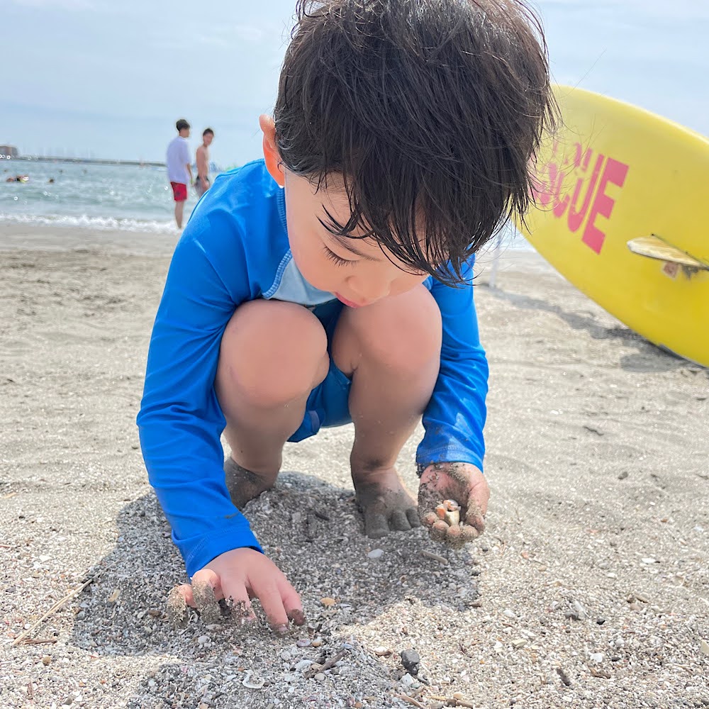 ３歳男の子海発体験！海岸沿いで貝拾い。