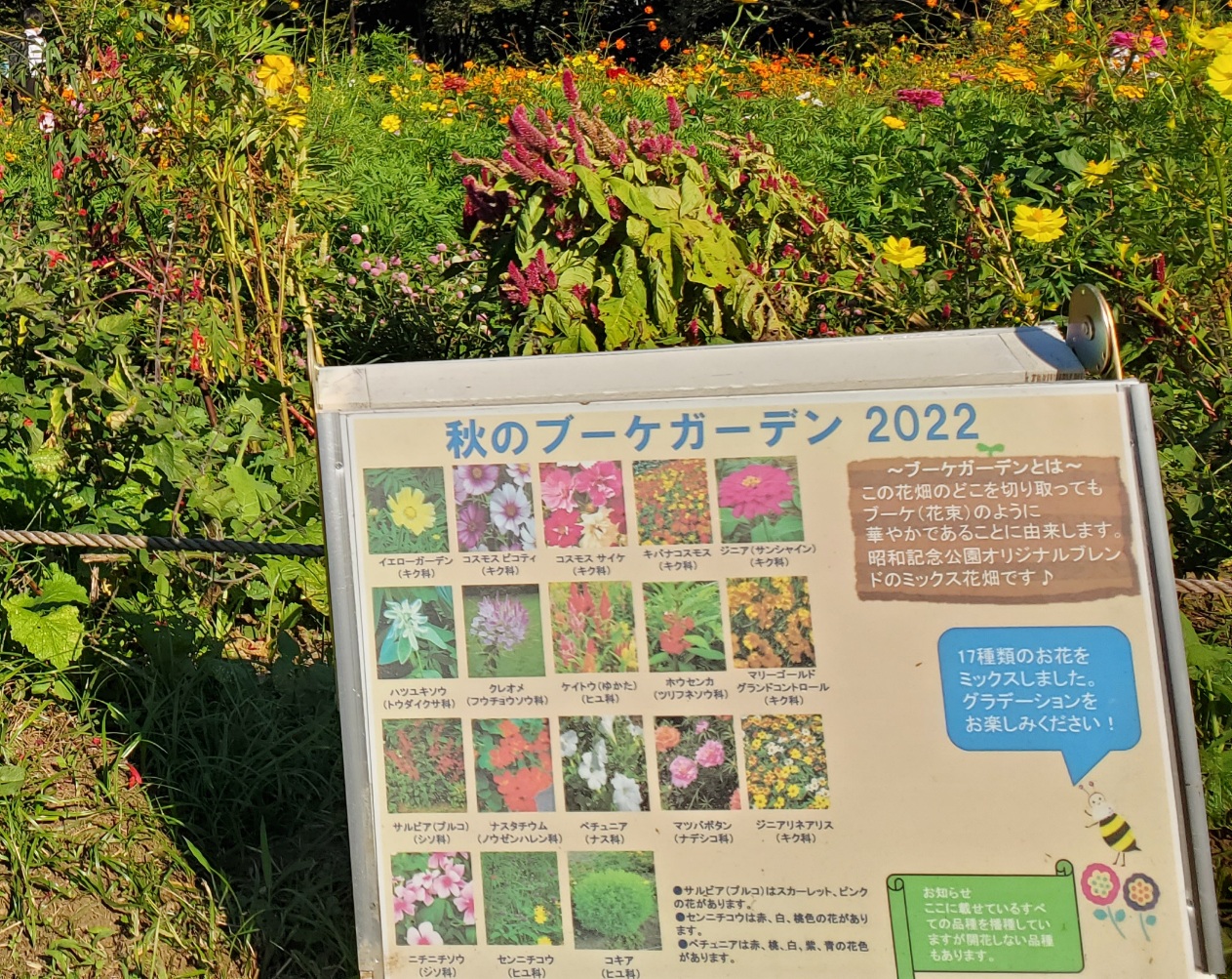 国営昭和記念公園　秋のブーケガーデン