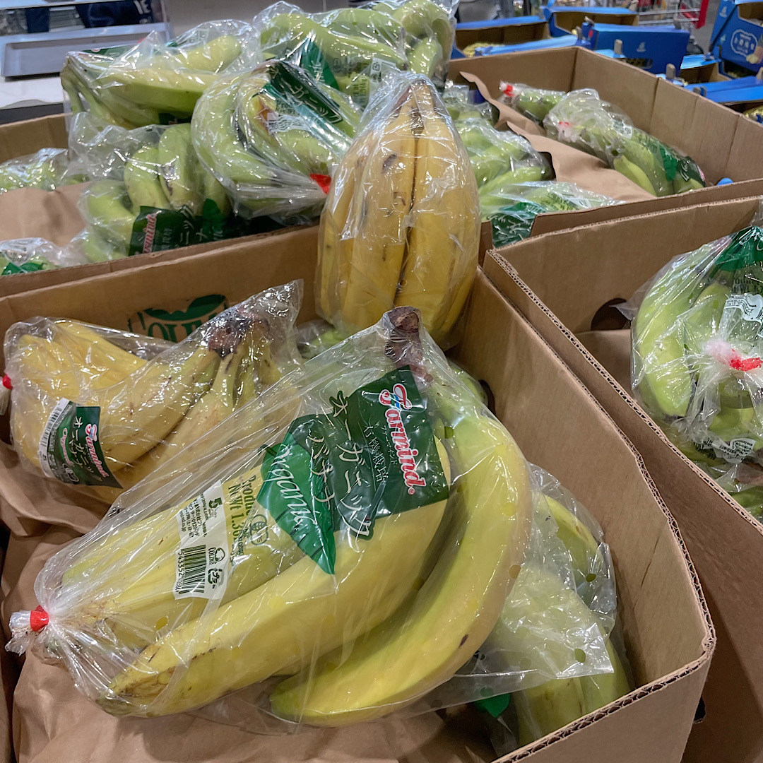 コストコで購入できる特大サイズの「Farmind オーガニックバナナ」