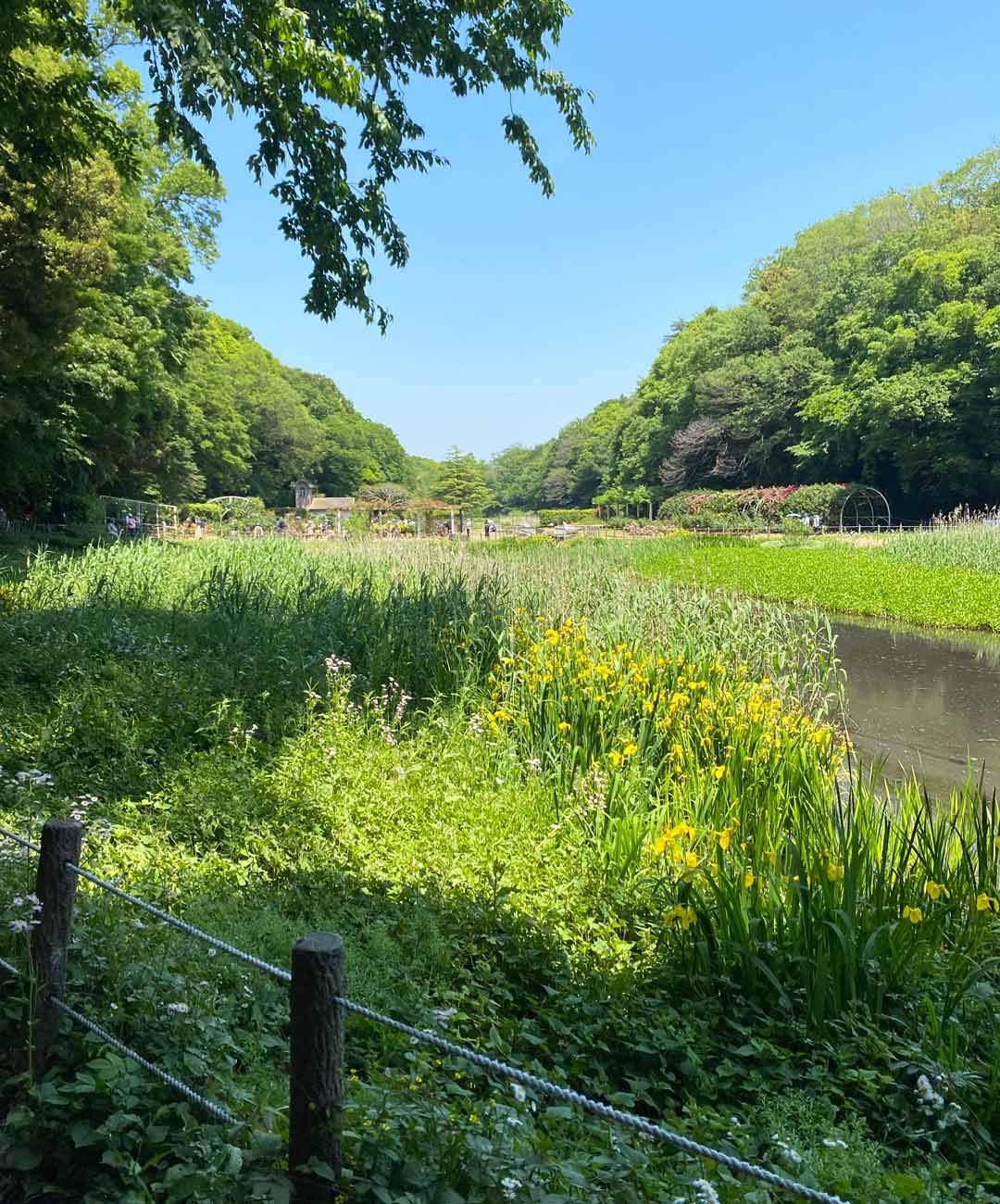 市川市 フィールドアスレチックありのみコース