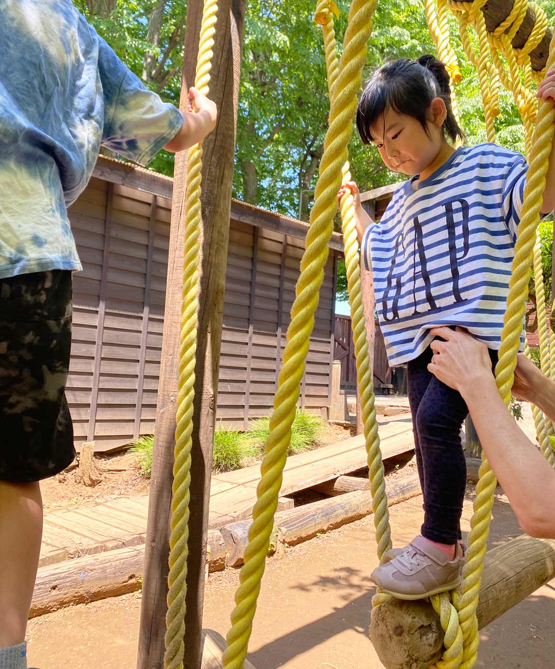 市川市 フィールドアスレチックありのみコース