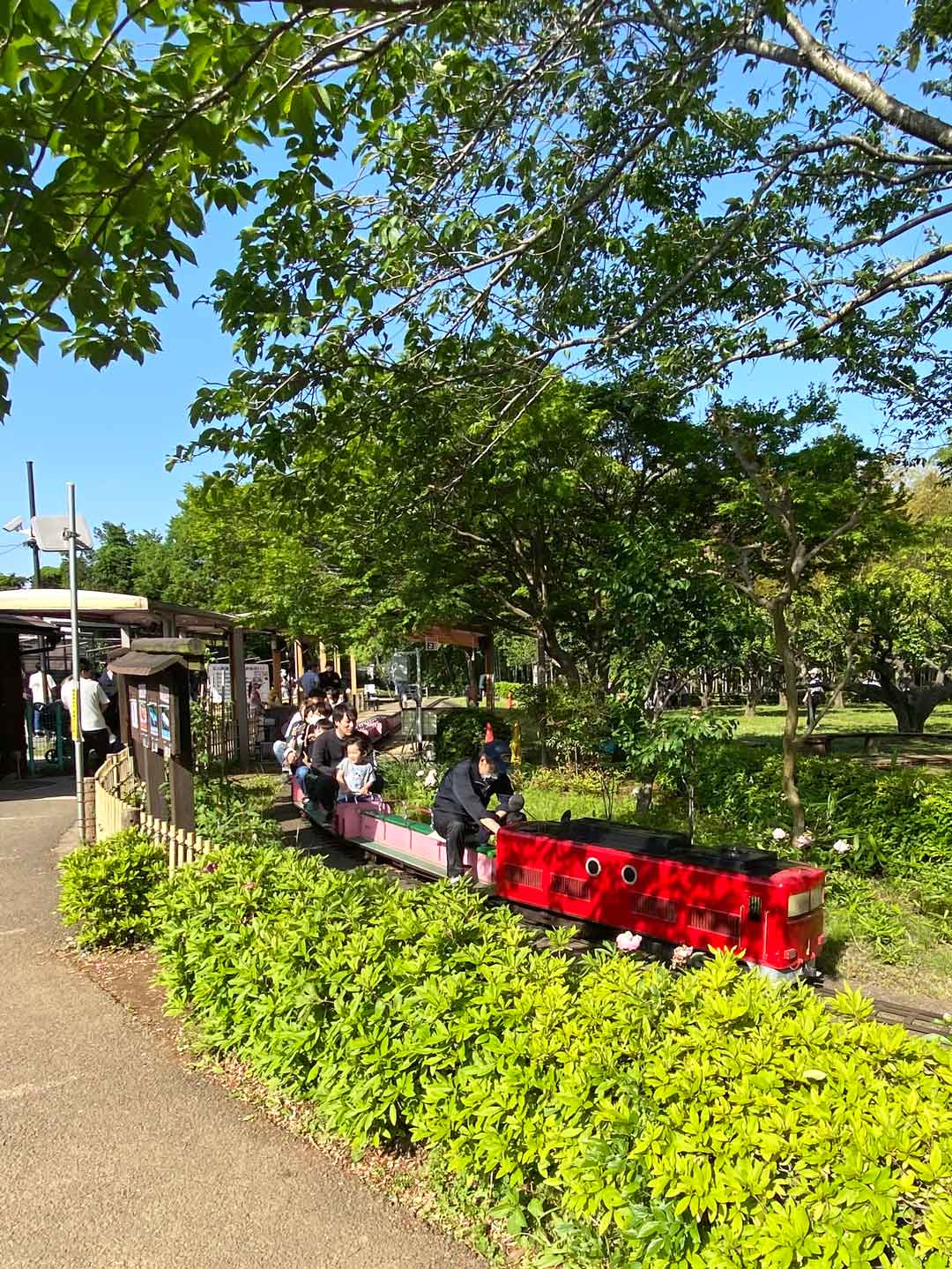 市川市動植物園 子連れ アスレチック ミニ鉄道
