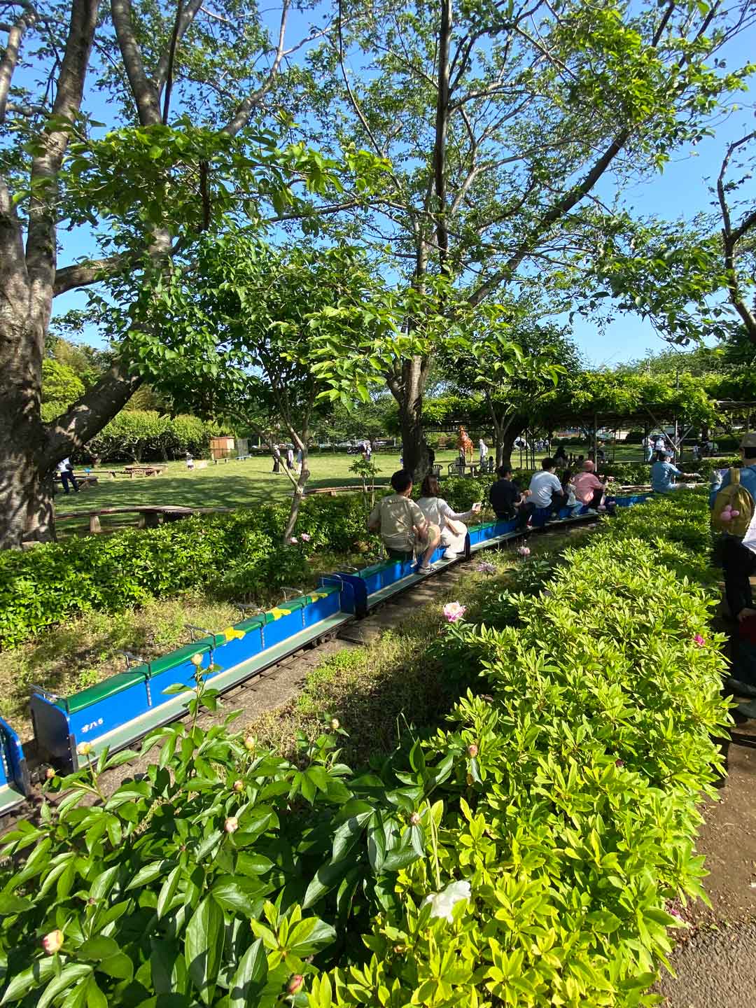 市川市動植物園 子連れ アスレチック ミニ鉄道