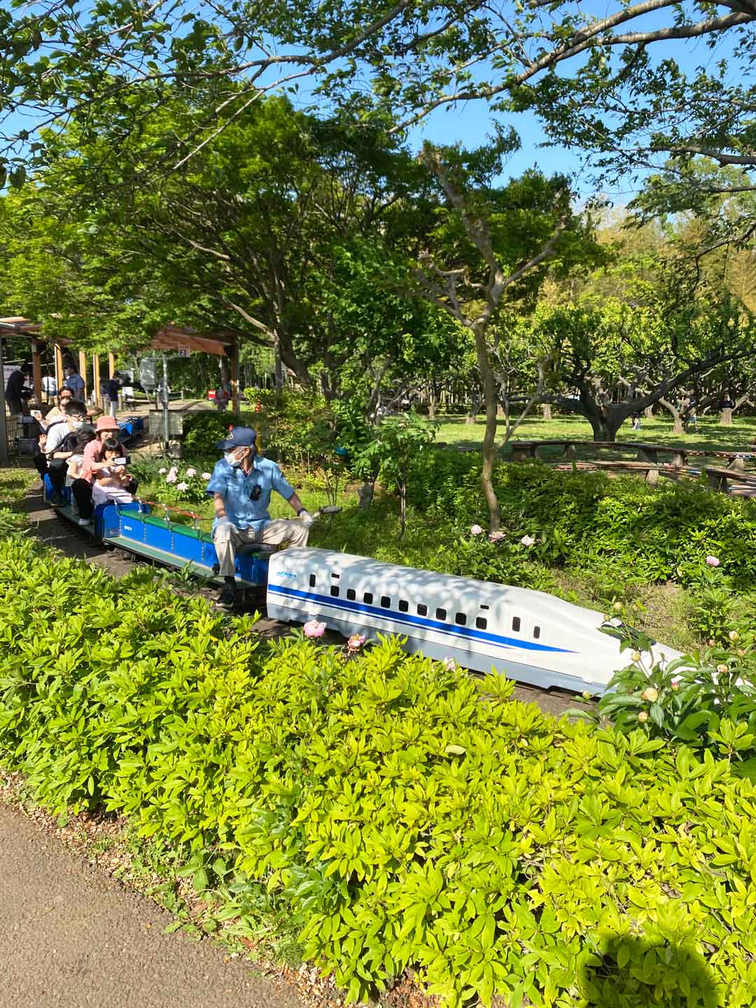 市川市動植物園 子連れ アスレチック ミニ鉄道