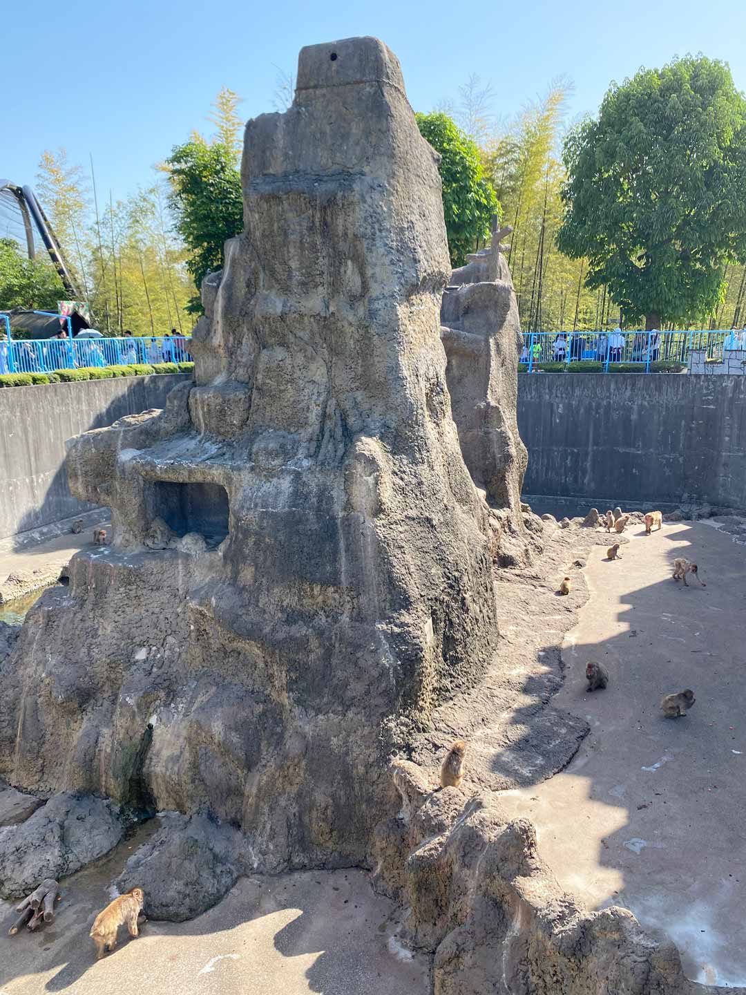 市川市動植物園 子連れ 猿山
