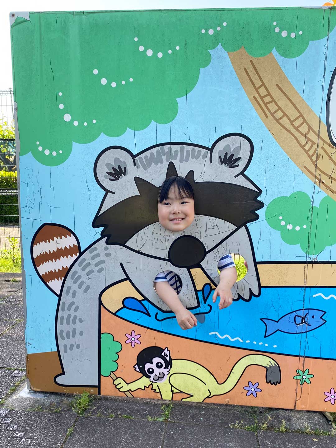 市川市動植物園 子連れ レッサーパンダ