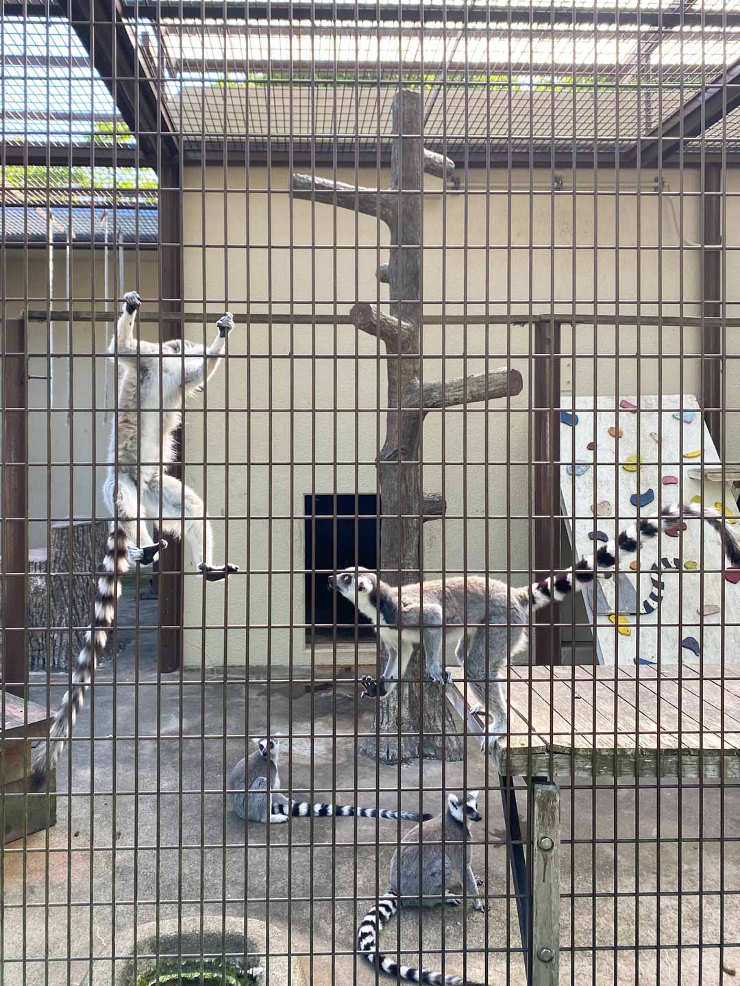 市川市動植物園 子連れ