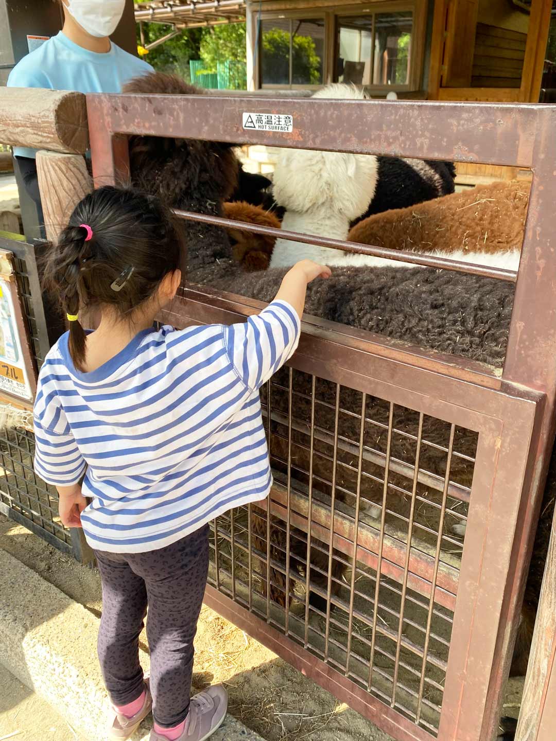 市川市動植物園 子連れ アルパカ