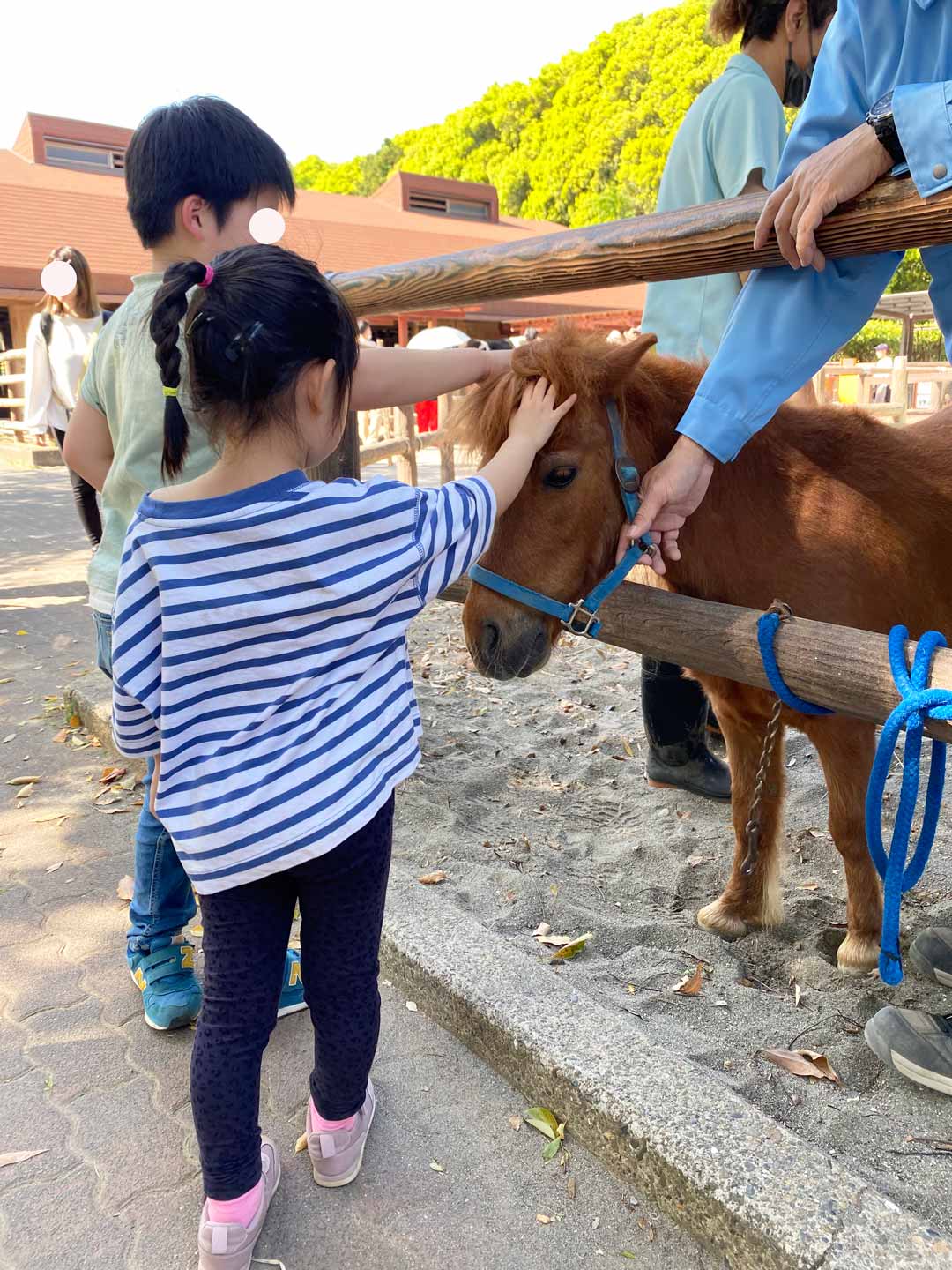 市川市動植物園 子連れ ポニー