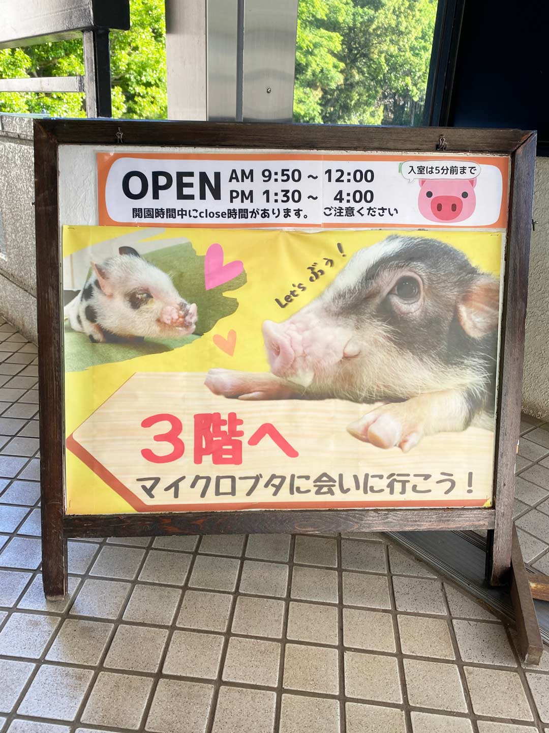 市川市動植物園 子連れ マイクロブタ