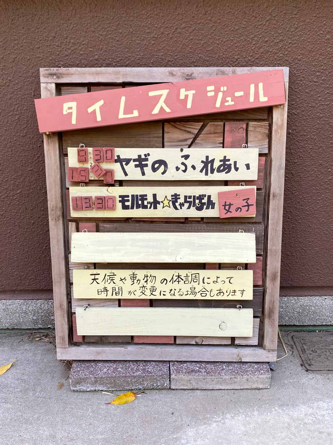 市川市動植物園 子連れ ふれあい広場 小動物