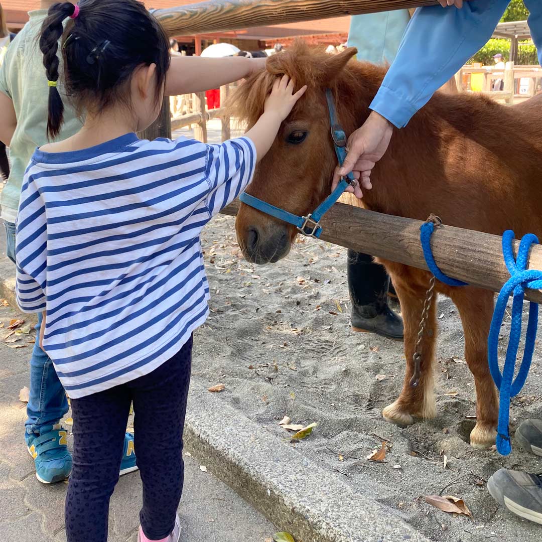 動物園デビューにおすすめ！程よい広さで遊具も充実「市川市動植物園」