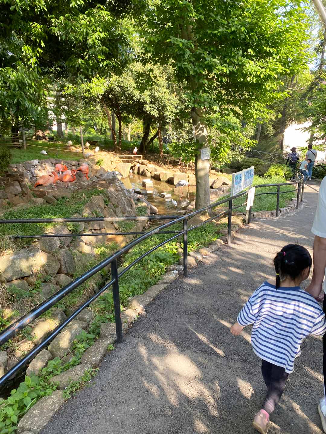 市川市動植物園 子連れ