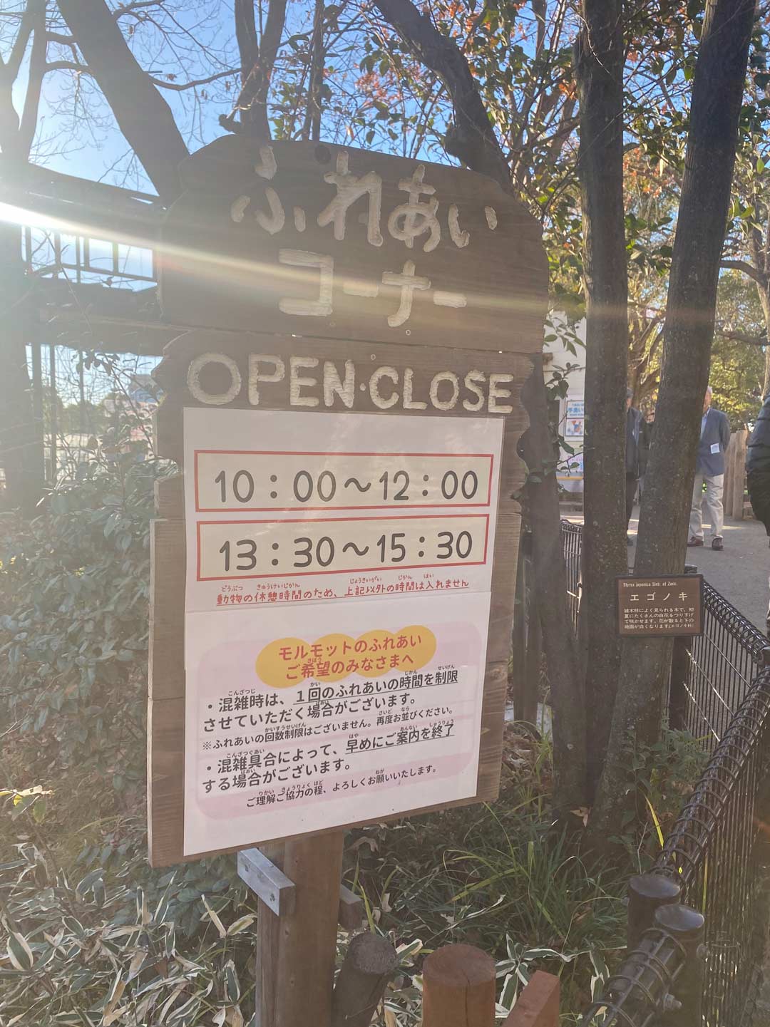 元渕江公園 足立区生物園 動物園 子連れ ふれあいコーナー