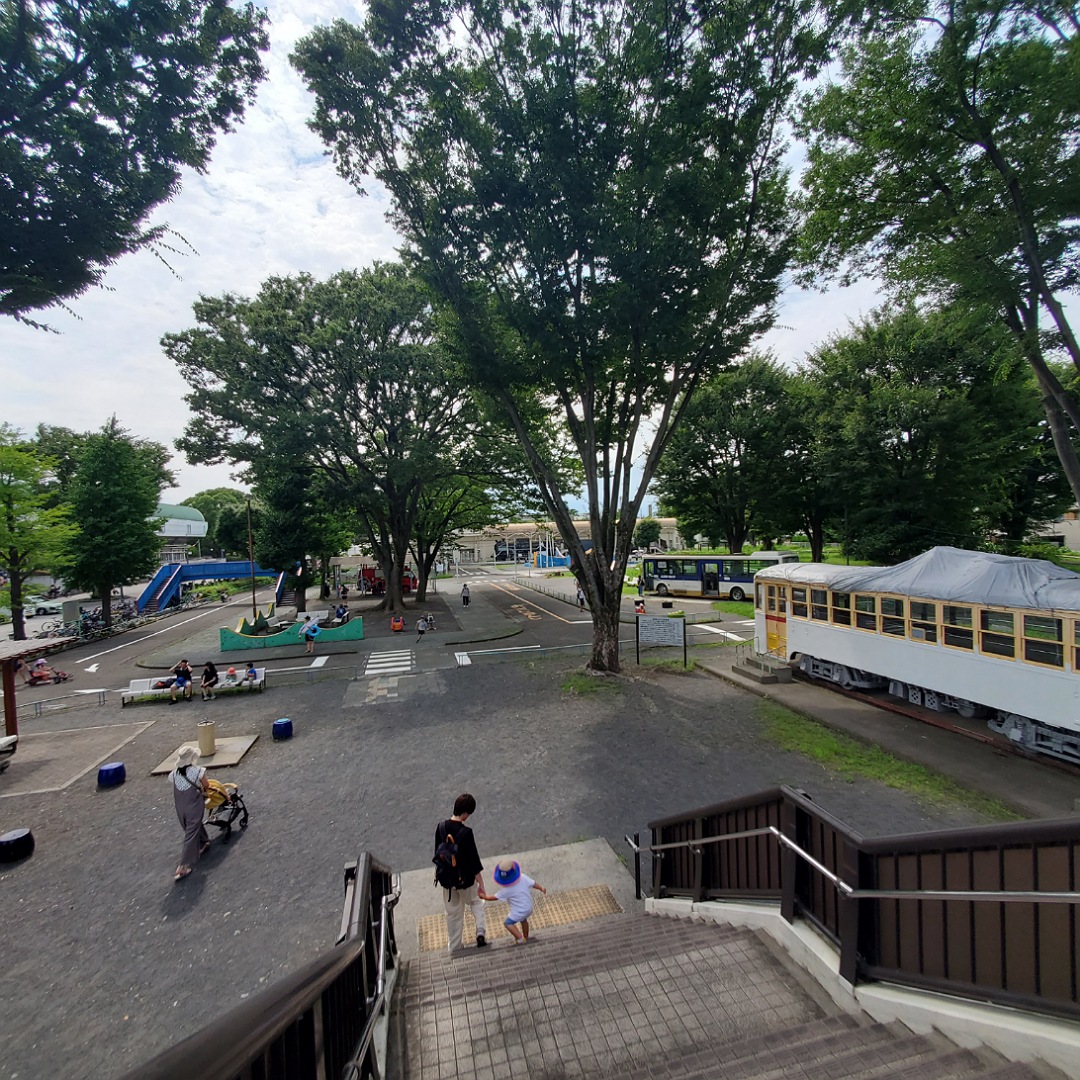 夏休みおすすめの遊び場！郷土の森公園