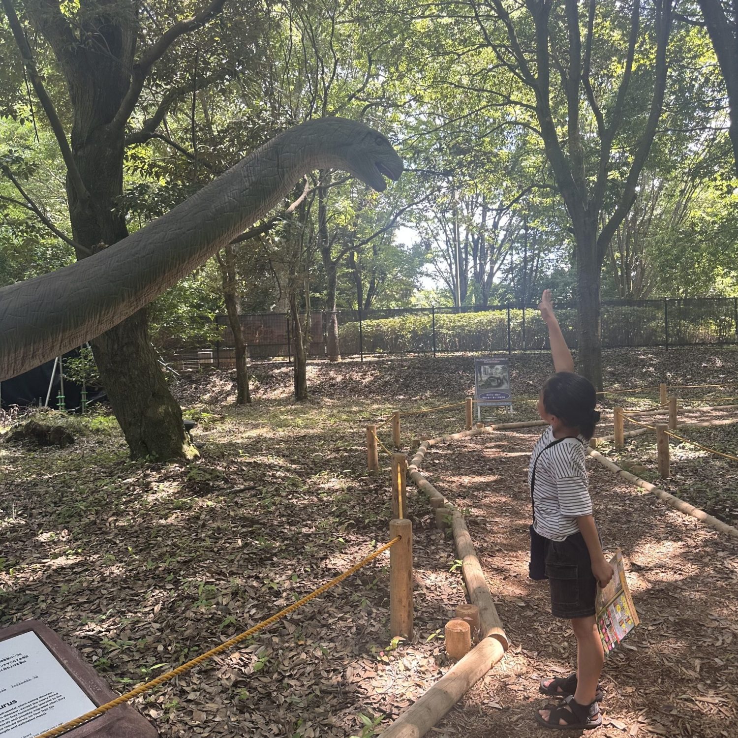 恐竜好き必見！リアルな等身大恐竜が出現！大恐竜パークinとちぎわんぱく公園をレポート！夏休みのおすすめスポット♡関東近隣でおすすめのおでかけスポット！