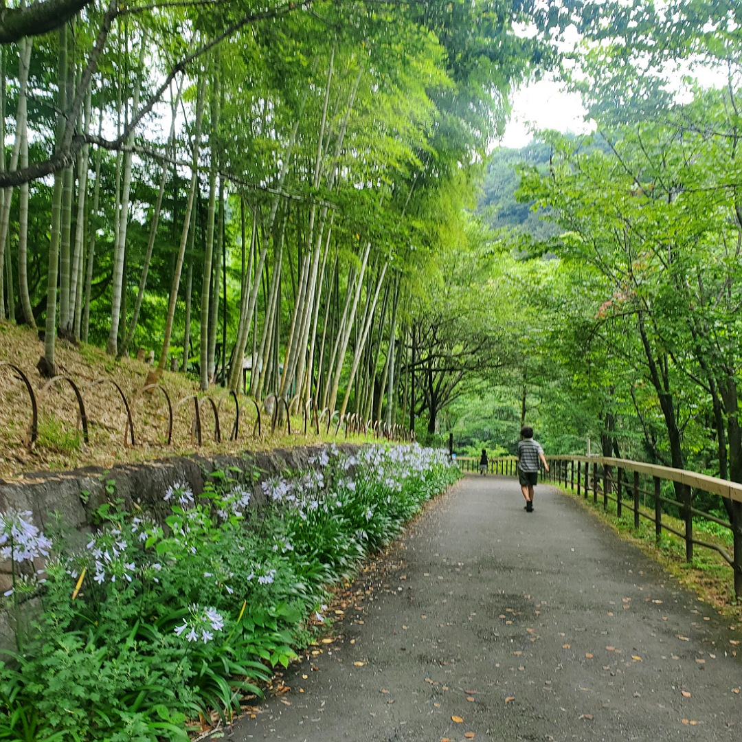 夏のお出かけにおすすめ「夕やけ小やけふれあいの里」