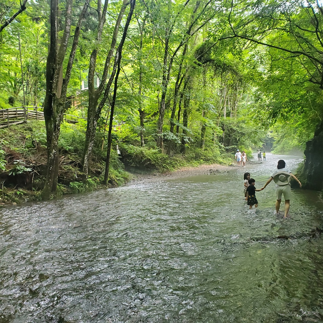 夏のお出かけにおすすめ「夕やけ小やけふれあいの里」