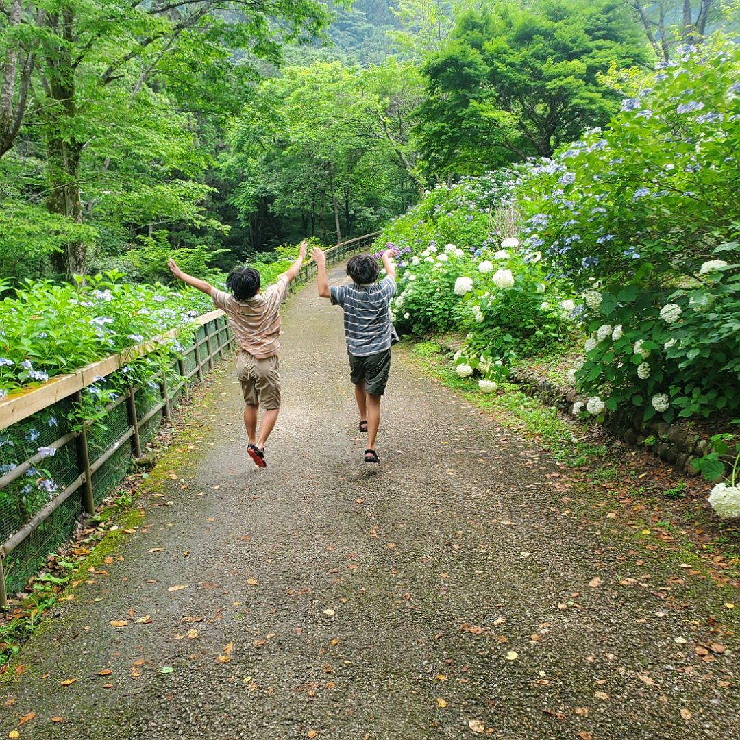 夏のお出かけにおすすめ「夕やけ小やけふれあいの里」