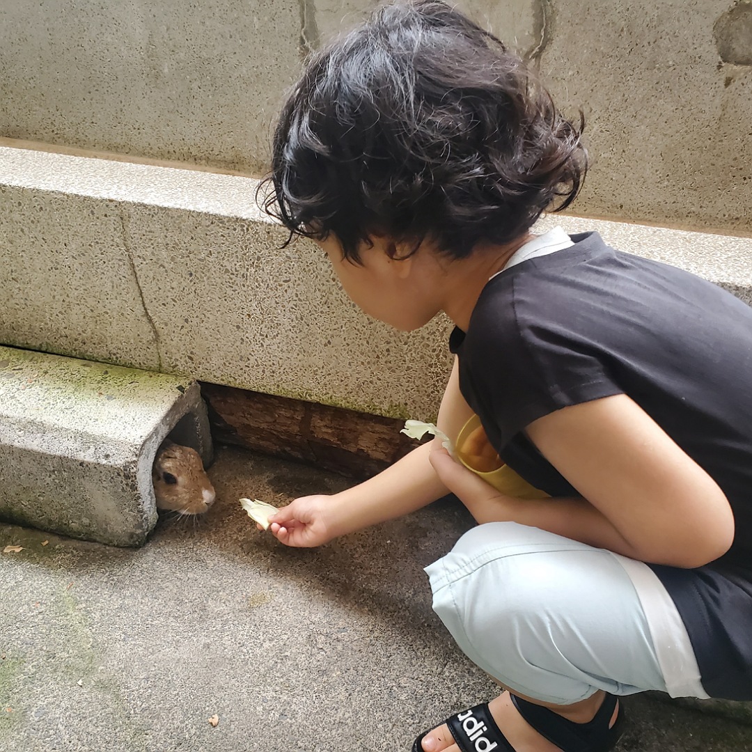 動物と触れ合える「夕やけ小やけふれあいの里」