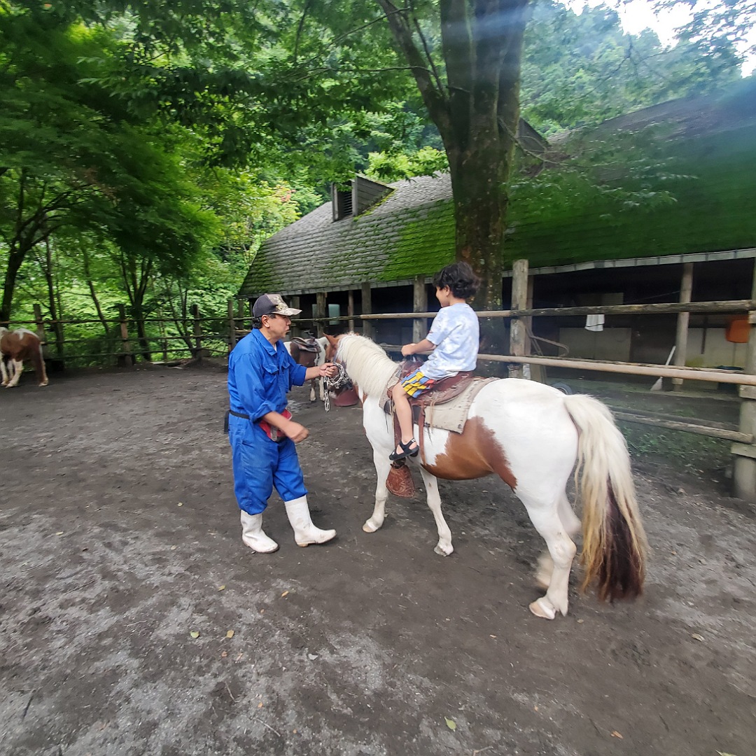 動物と触れ合える「夕やけ小やけふれあいの里」