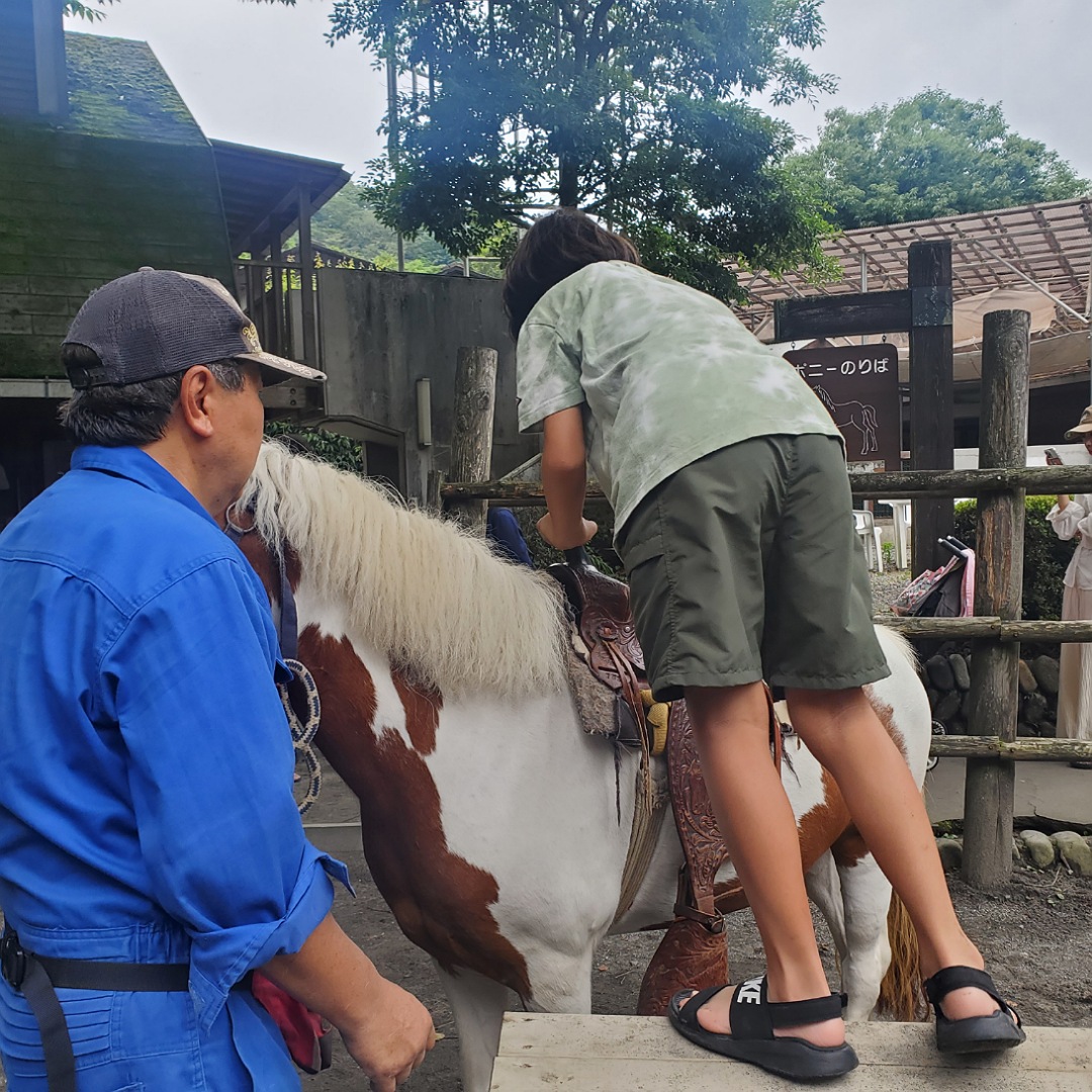 動物と触れ合える「夕やけ小やけふれあいの里」