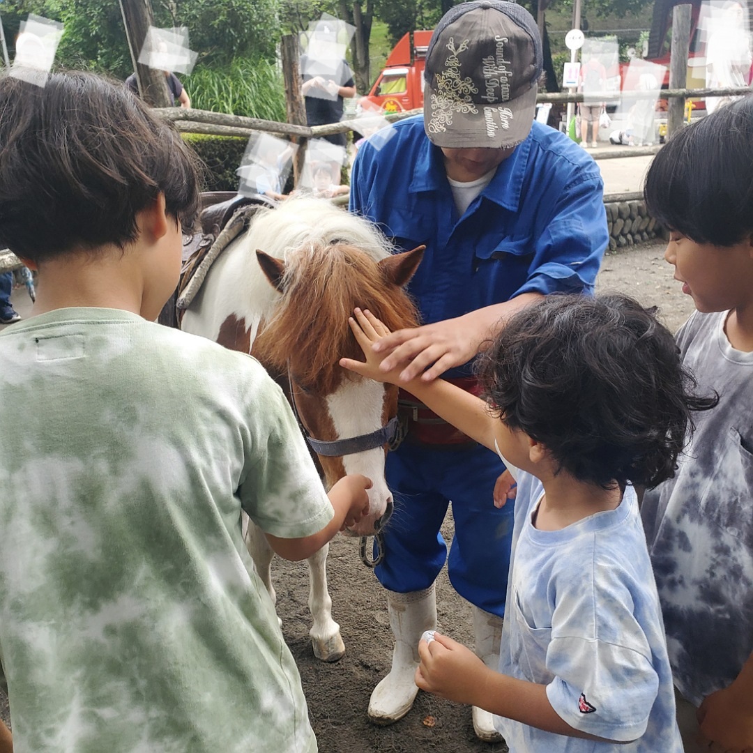 動物と触れ合える「夕やけ小やけふれあいの里」