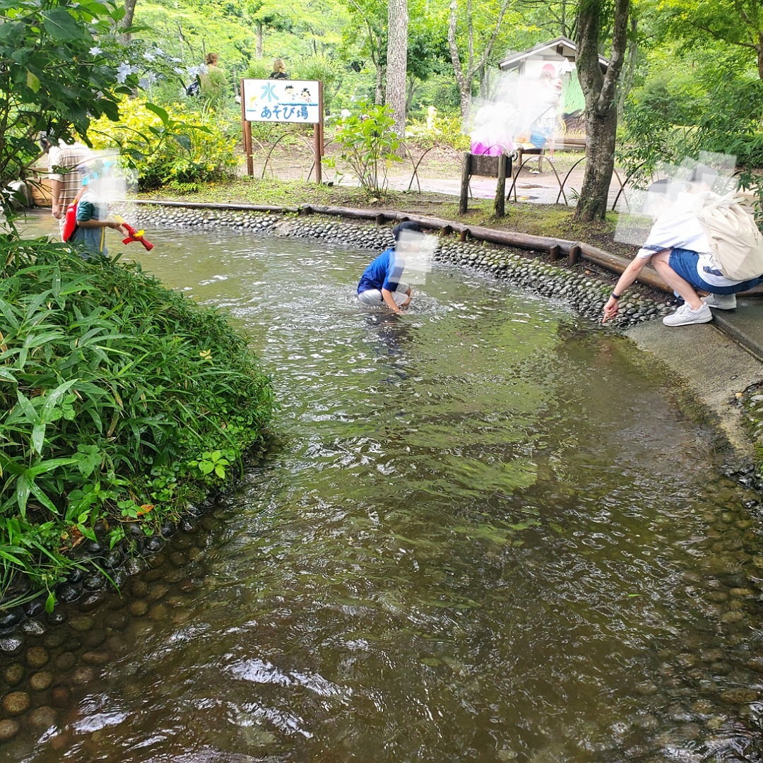 夏のお出かけにおすすめ「夕やけ小やけふれあいの里」