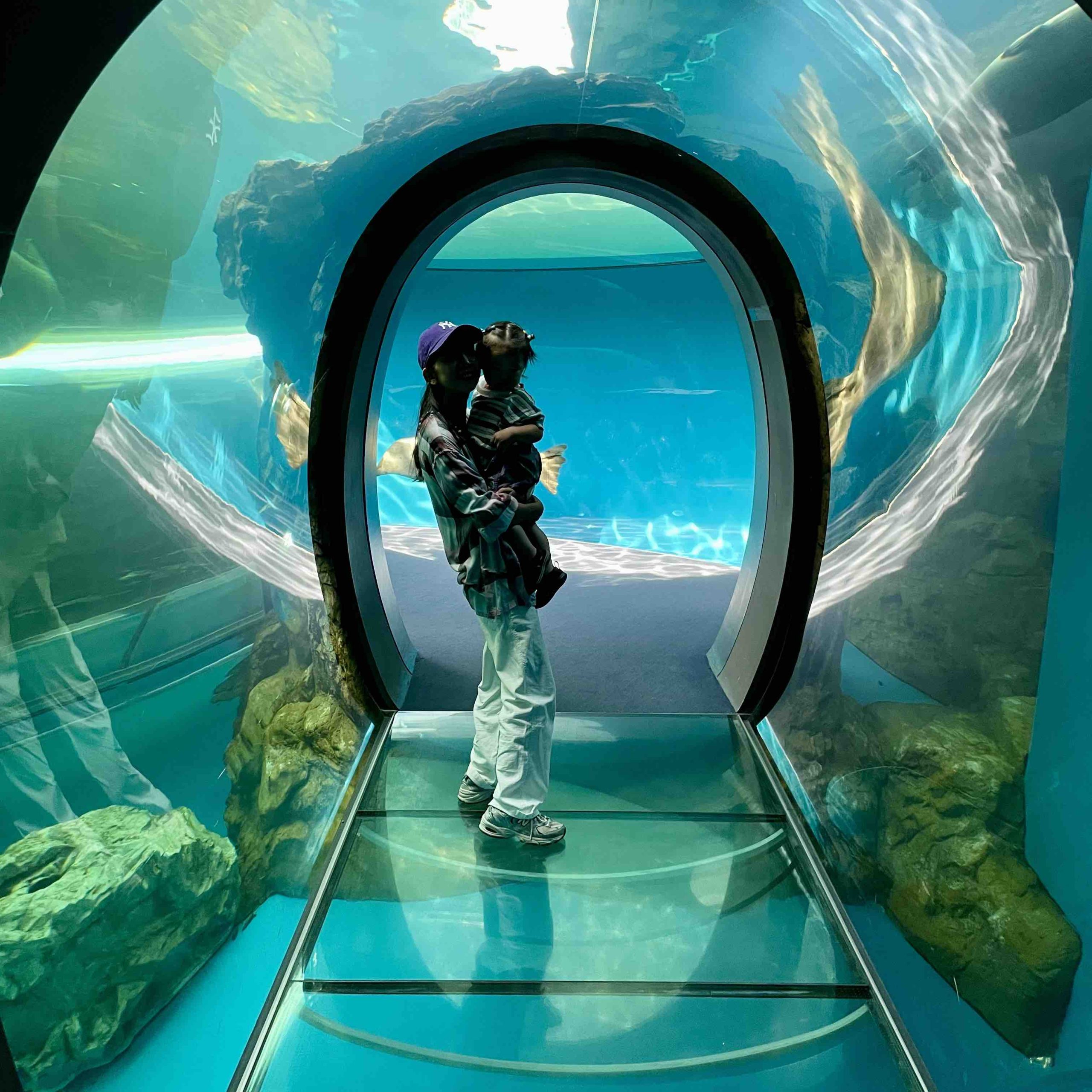 4歳未満無料！水族館デビューにも！【しながわ水族館】1歳児ママの子連れお出かけレポート