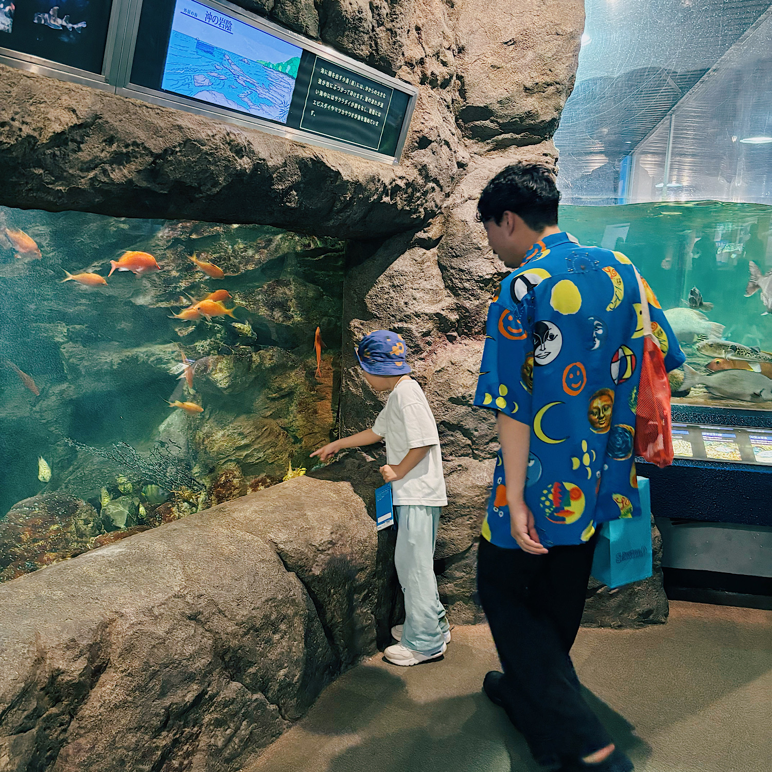 【1泊2日子連れ旅行】親子大満足なおすすめ旅行プラン紹介ブログ！鴨川シーワールドはアクティビティが充実して子供には嬉しい！