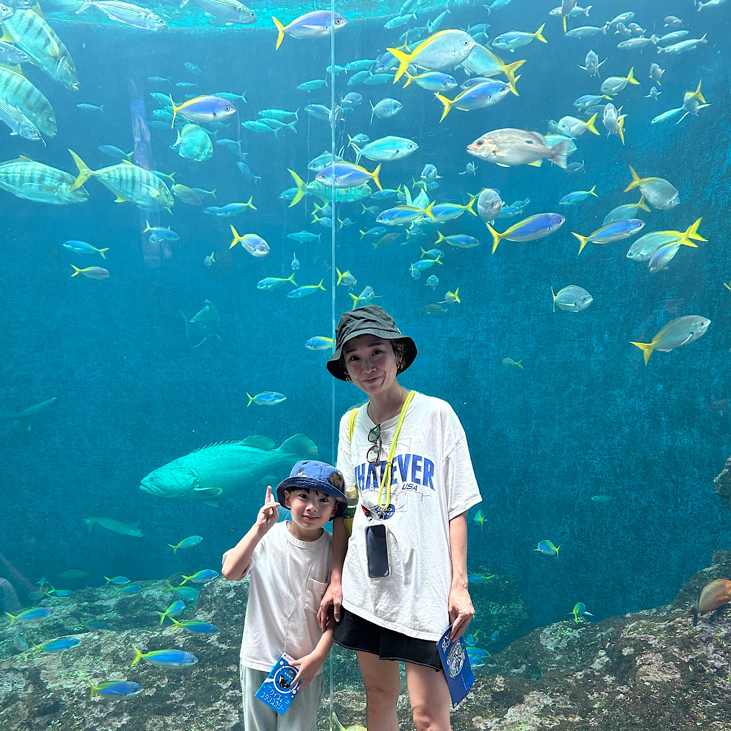 【1泊2日子連れ旅行】親子大満足なおすすめ旅行プラン紹介ブログ！鴨川シーワールドの美しい魚たち。大きな水槽の前で記念写真。