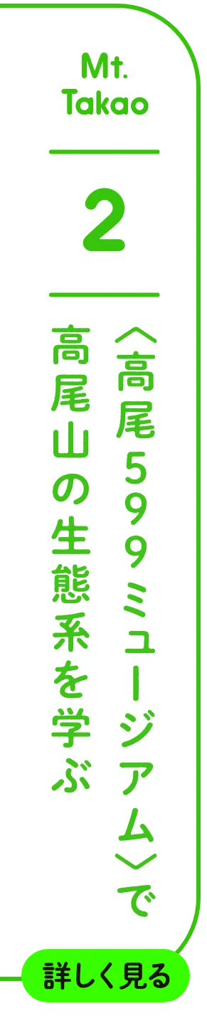 五感を刺激して、感性を育む親子で体験したい5つのこと | HugMug