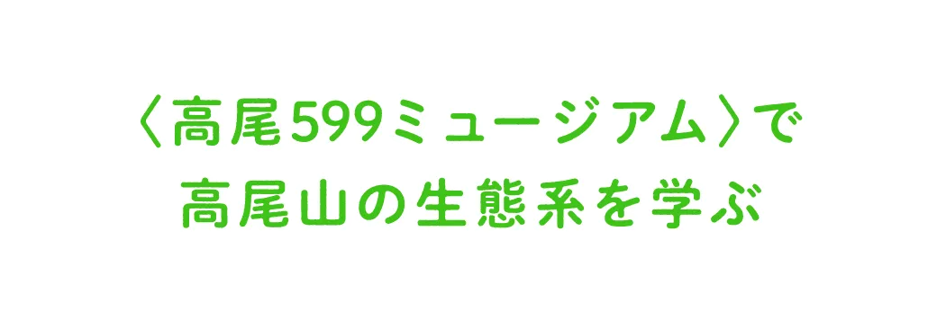 五感を刺激して、感性を育む親子で体験したい5つのこと | HugMug