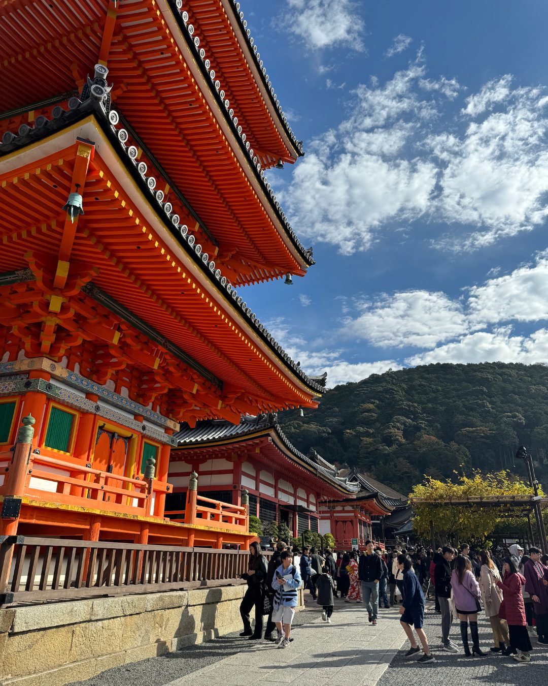 京都清水寺での紅葉散歩