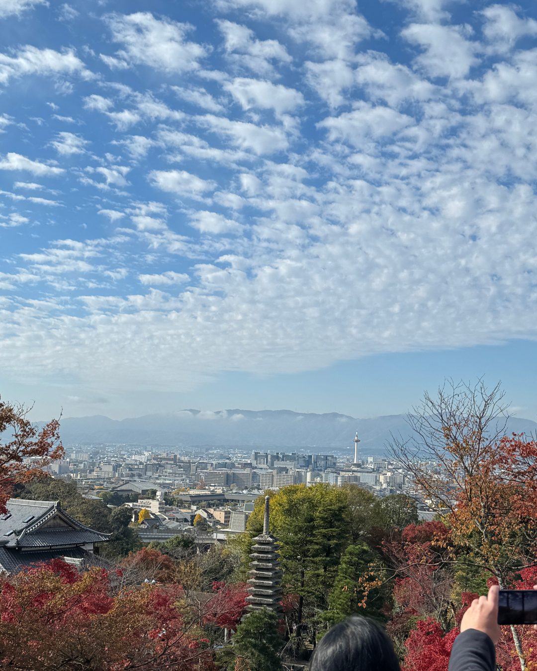 京都清水寺からの紅葉