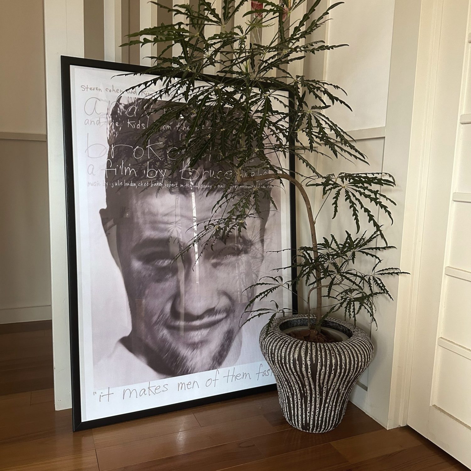 お家時間を彩る観葉植物。観葉植物を買うならおすすめのショップ!お部屋を彩る観葉植物が豊富!一度は訪れたい種類豊富な観葉植物のお店!グリーンを楽しめるお家が完成!