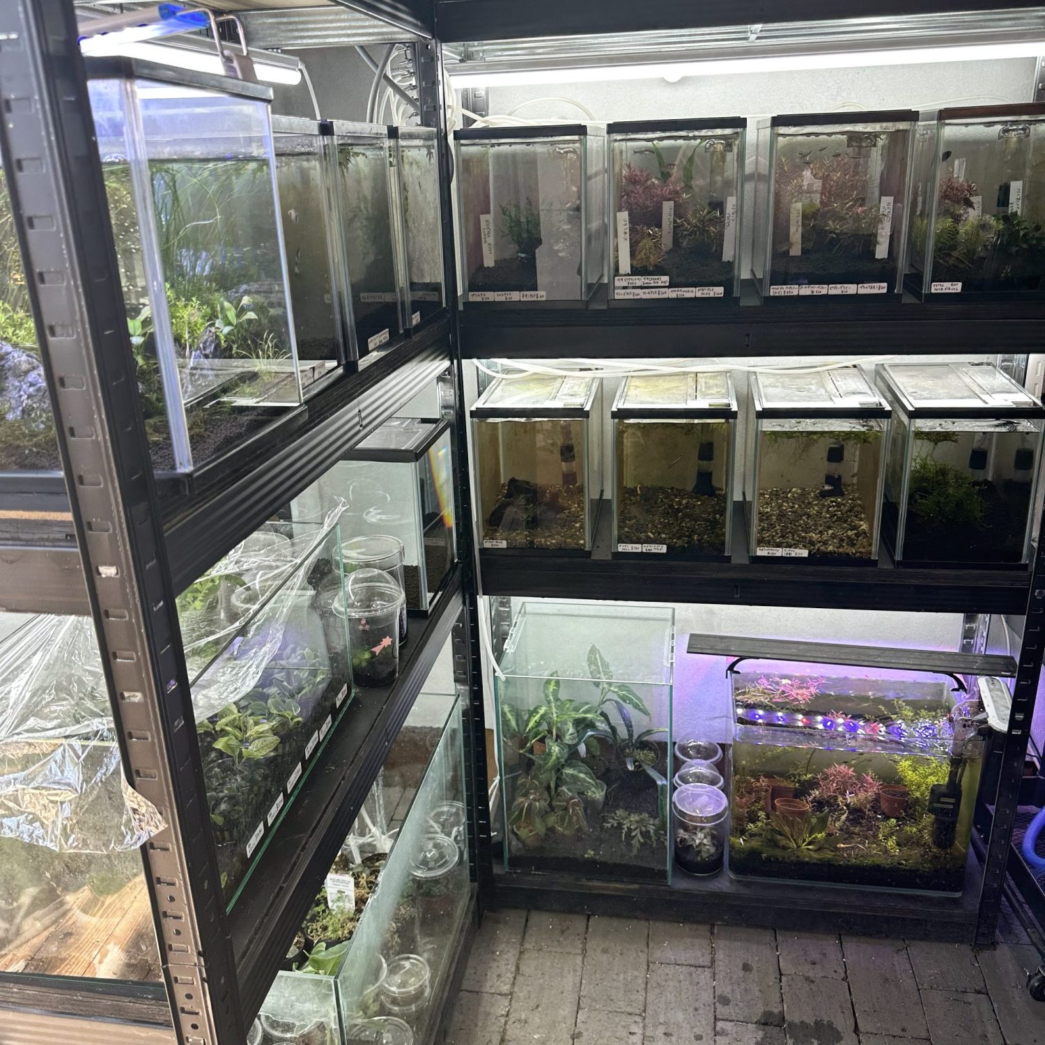 パルダリウム、アクアリウム好き必見の関東にオープンした観葉植物のお店がおすすめ!