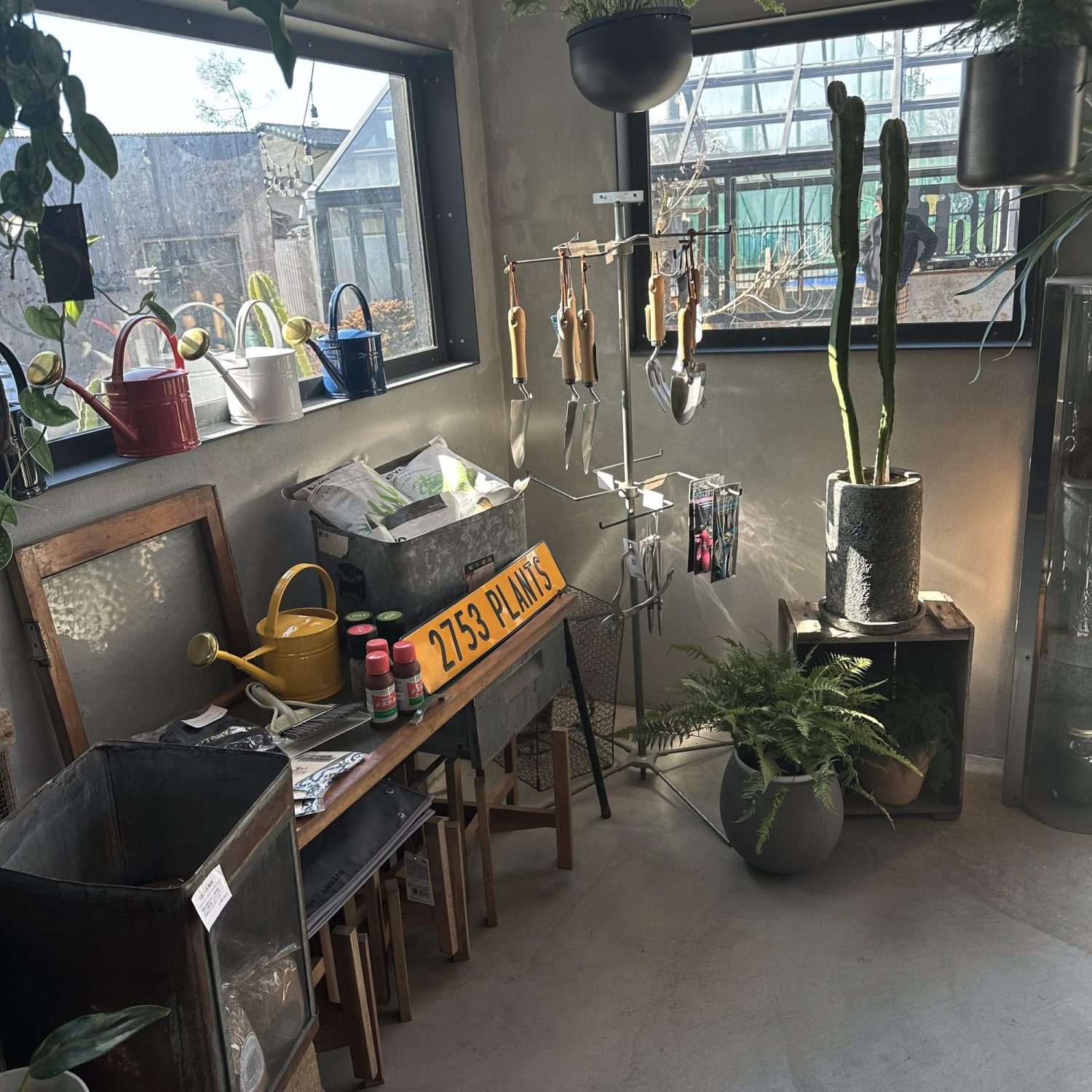 お家時間を彩る観葉植物。観葉植物を買うならここ!関東でおすすめのショップ。センスの良いお店を紹介。