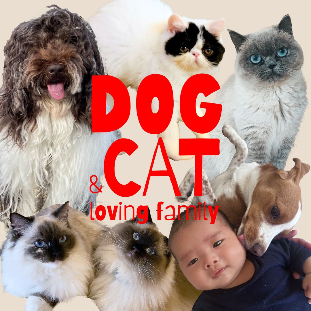 【犬・猫と暮らす】5組のおしゃれファミリーを調査！
