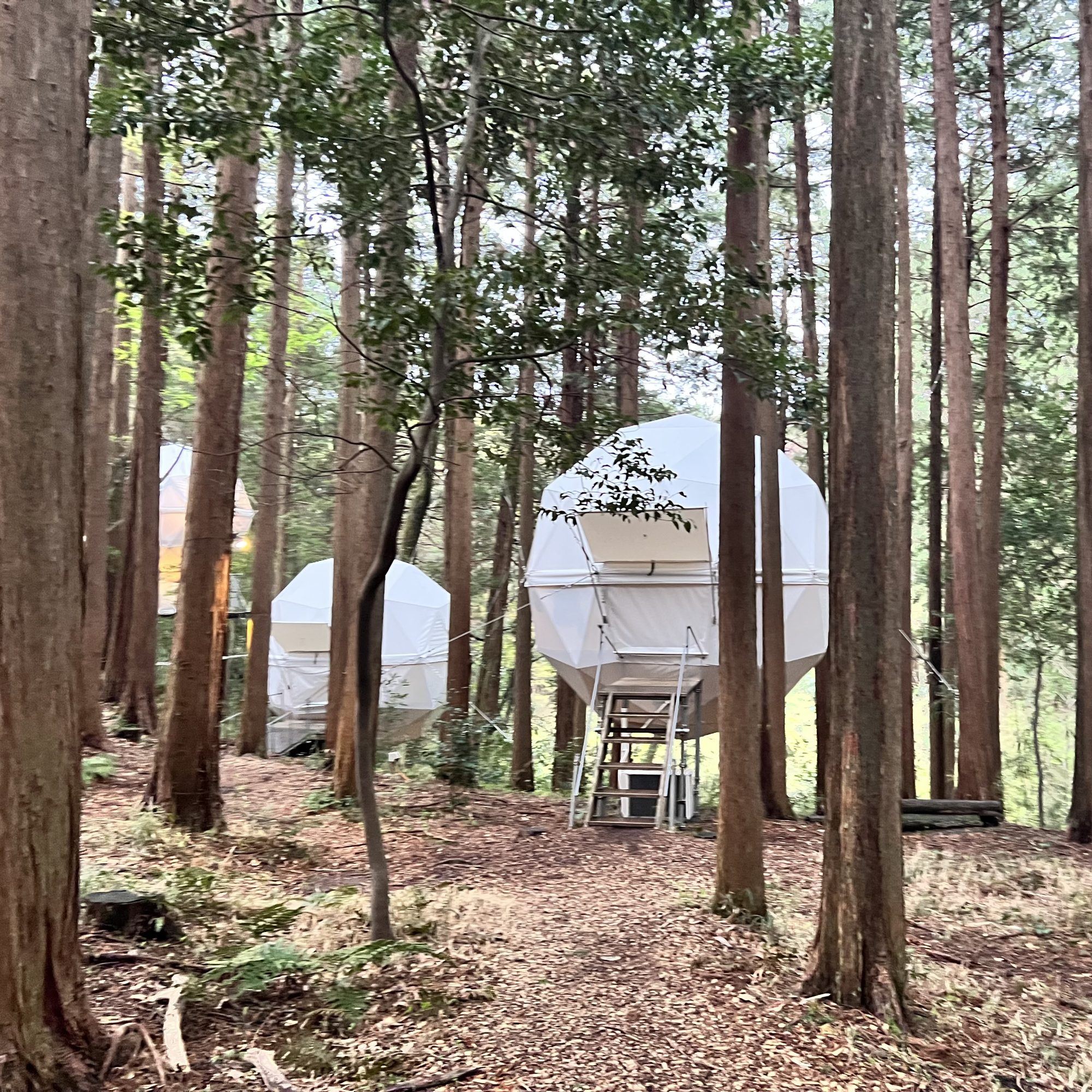 泊まれる公園！？「INN THE PARK 沼津」宿泊レポ！ 食事やアクティビティも充実