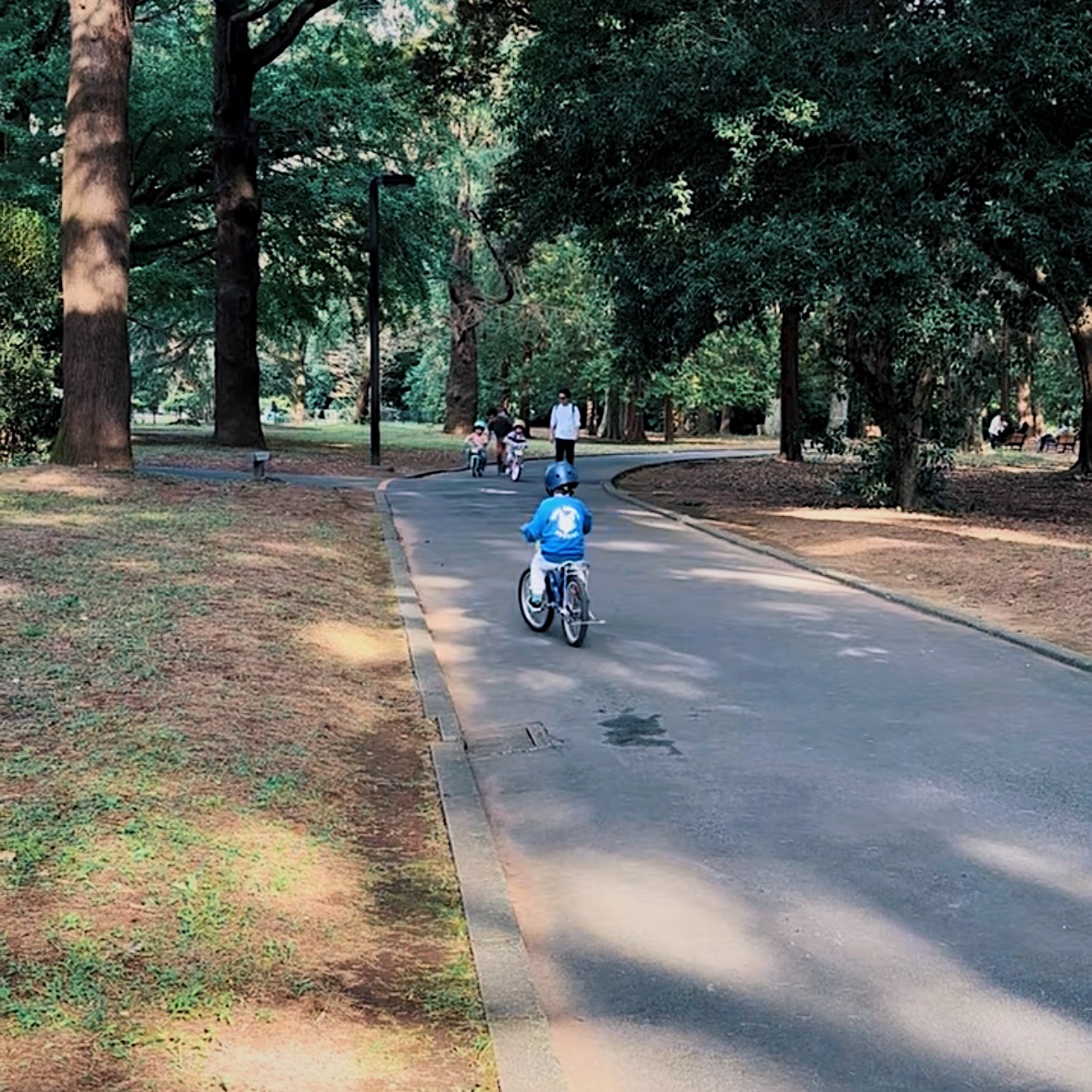 【1時間210円】自転車デビューに最適!『代々木公園サイクリングセンター』は練習コースがあるので自転車初心者でも安心。補助輪付なし自転車専用コース