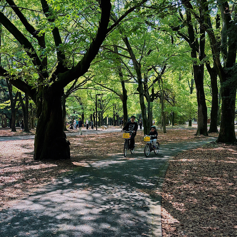【1時間210円】自転車デビューに最適!『代々木公園サイクリングセンター』の森林浴サイクリングが最高!