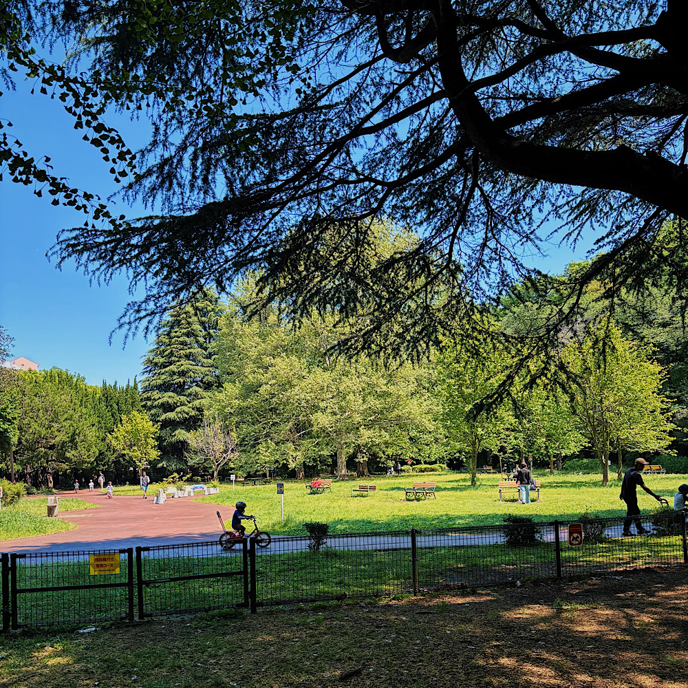 【1時間210円】自転車デビューに最適!『代々木公園サイクリングセンター』は練習コースがあるので自転車初心者でも安心。補助輪付き自転車専用コース