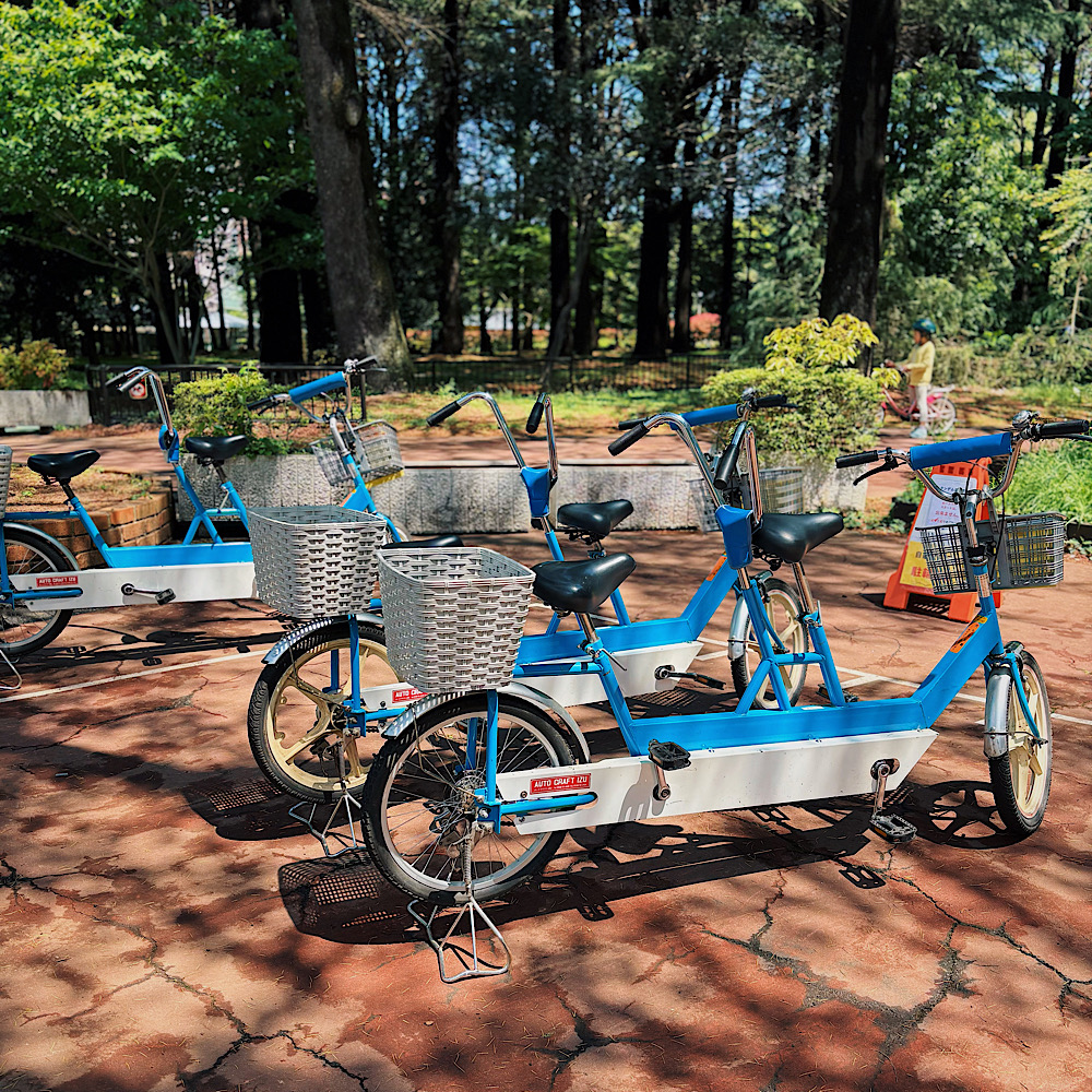 【1時間210円】自転車デビューに最適!『代々木公園サイクリングセンター』レンタルできる自転車は各種完備!二人乗り自転車