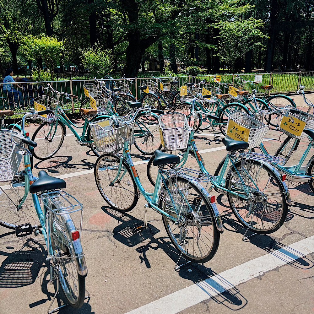 【1時間210円】自転車デビューに最適!『代々木公園サイクリングセンター』レンタルできる自転車は各種完備!大人用自転車