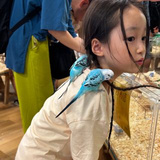 【入場料800円】再入場OKの「いきもの探検隊」で動物ふれあい体験レポ