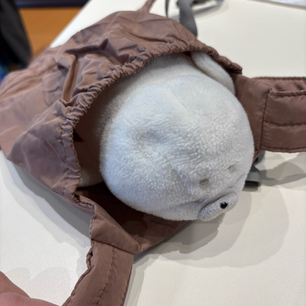 3coins
スリコ
お世話ごっこ
お母さんごっこ
ぬいぐるみ用抱っこ紐
バブーシュカ
ごっこ遊び